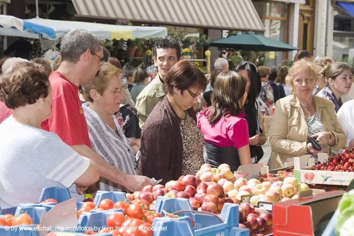20080515escherbraderie038