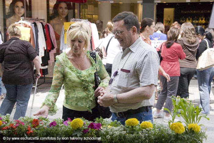 20080515escherbraderie048