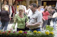 20080515escherbraderie048