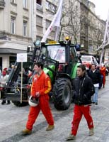 cavalcade2005 (14)