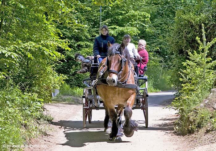 Dag an der Natur 2004 05 004
