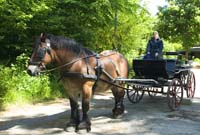 Dag an der Natur 2004 05 029