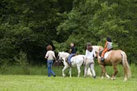 dagandernatur200705028