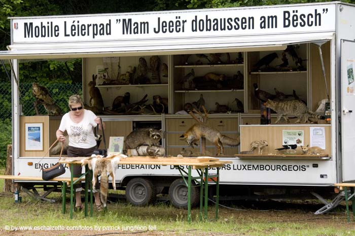 20080601endagandernatur033