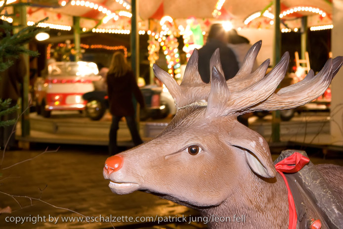 20081128krechtmoart065