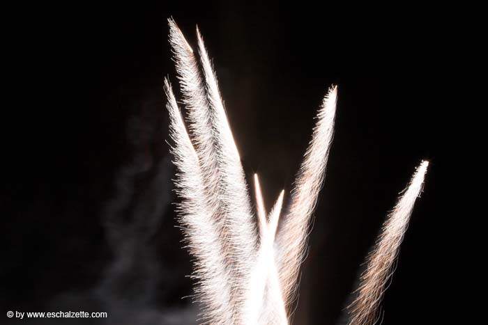 fetenationale2006060160