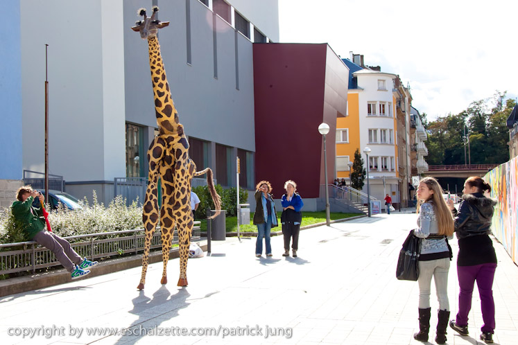 20090904_streetfestival_026