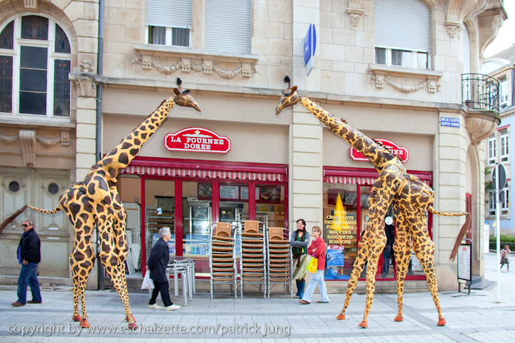 20090904_streetfestival_042