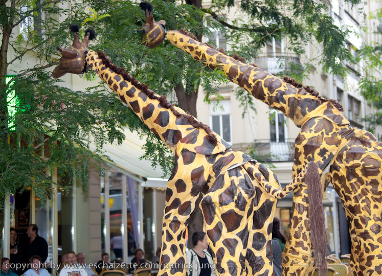 20090904_streetfestival_048