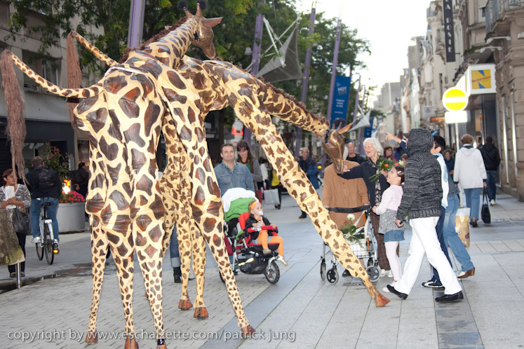 20090904_streetfestival_051