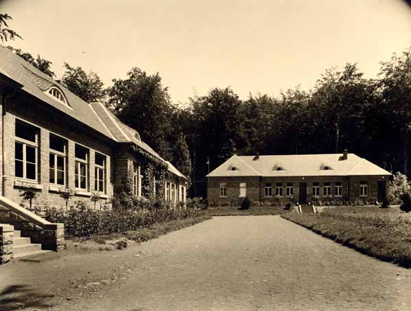 ecole en foret 05