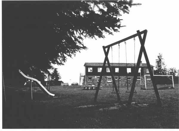 insenborn 1996 01