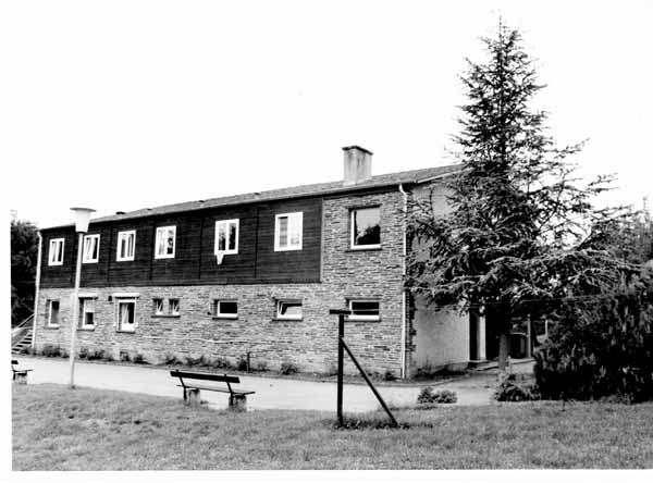 insenborn 1996 03