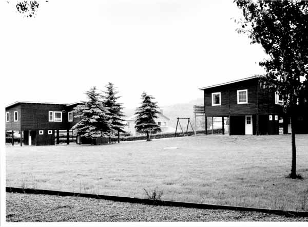 insenborn 1996 05