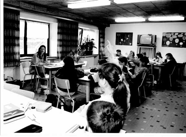 insenborn 1996 16