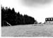 insenborn 1996 08
