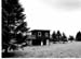 insenborn 1996 10