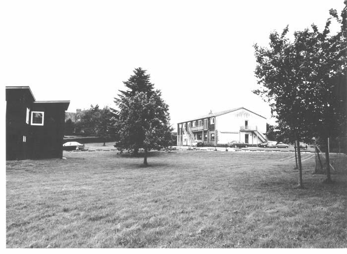 insenborn 1996 04