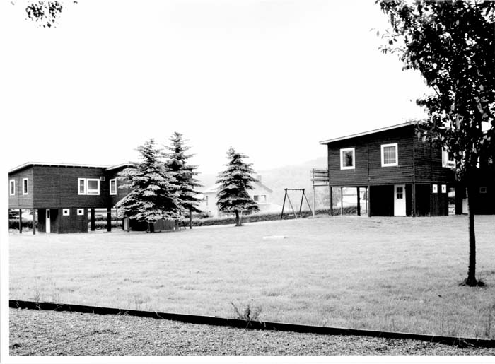 insenborn 1996 05