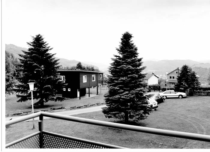 insenborn 1996 06