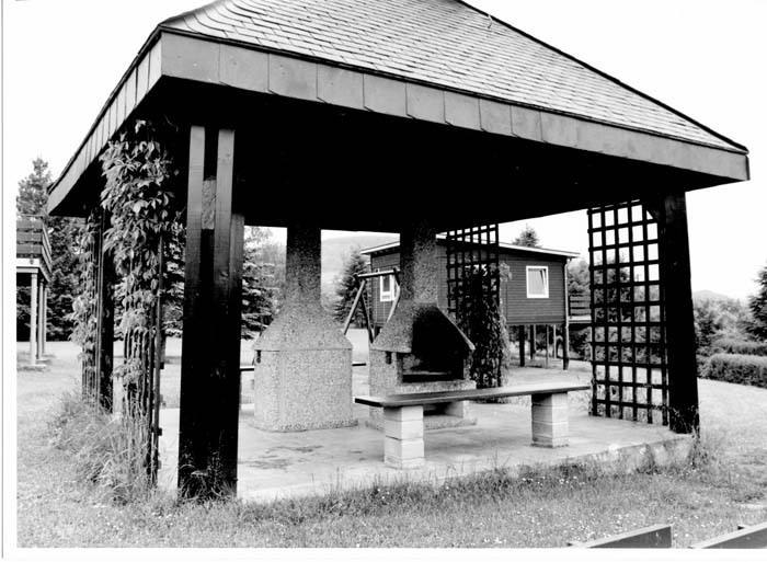 insenborn 1996 07