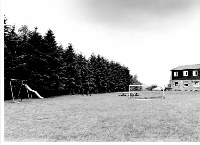 insenborn 1996 08
