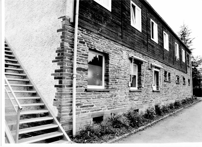 insenborn 1996 09