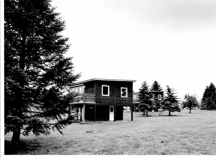 insenborn 1996 10