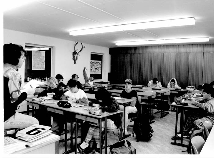 insenborn 1996 13
