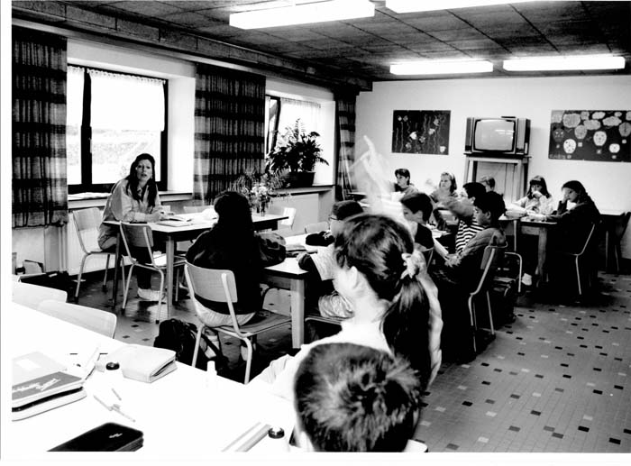 insenborn 1996 16
