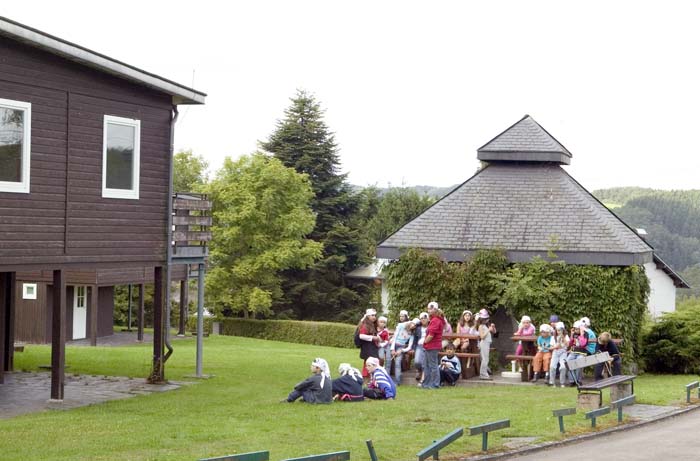 insenborn200508003