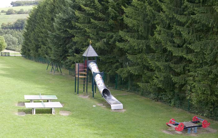 insenborn200508017