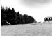 insenborn 1996 08