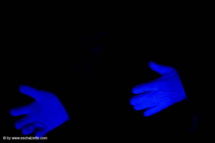 20080131lgemelomania2008018_DxO