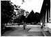 Jaures 1996 05