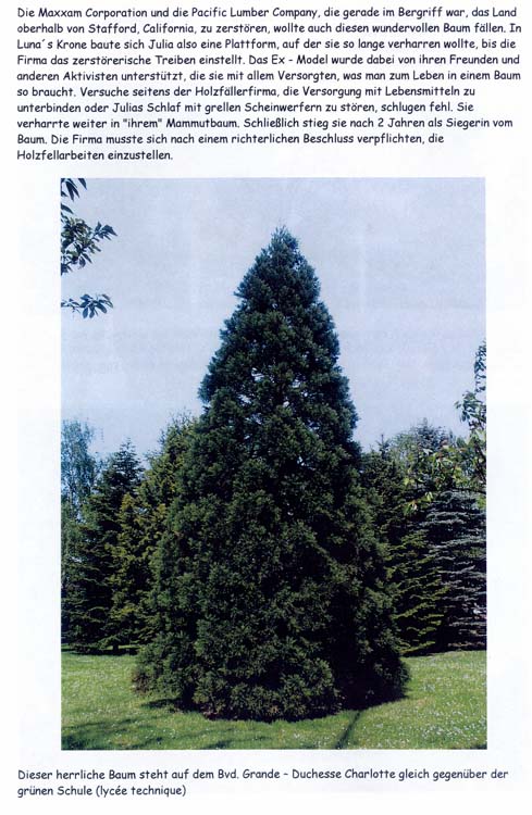 trees200503004