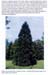 trees200503004