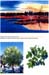 trees200503008