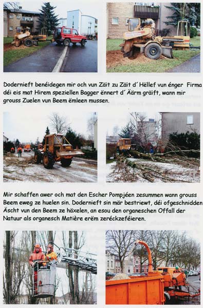 entretienespverts200504029