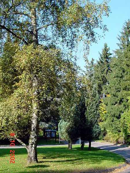 galgenberg2003 (18)
