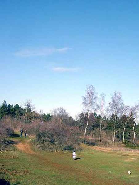galgenberg2003 (29)