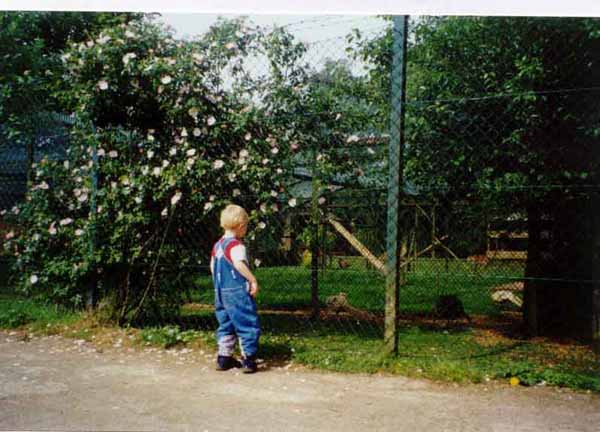 galgenberg2003