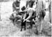 Arrivee animaux 1962 13