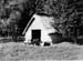 Tiergehege 1963 01
