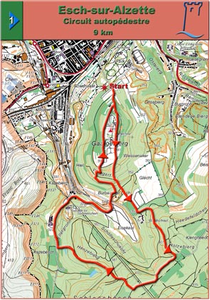 circuit_autoped01