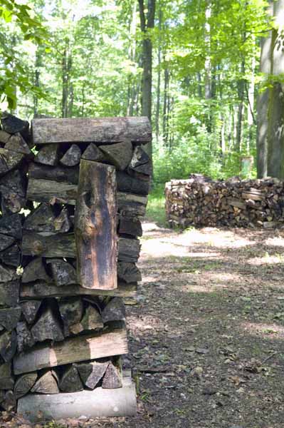 Konscht am Besch 2004 06 050