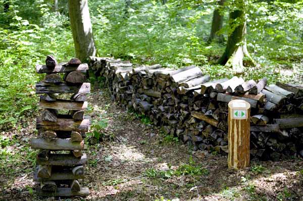 Konscht am Besch 2004 06 051