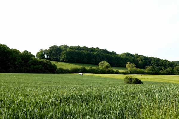 Auf Besing 2004 05 002