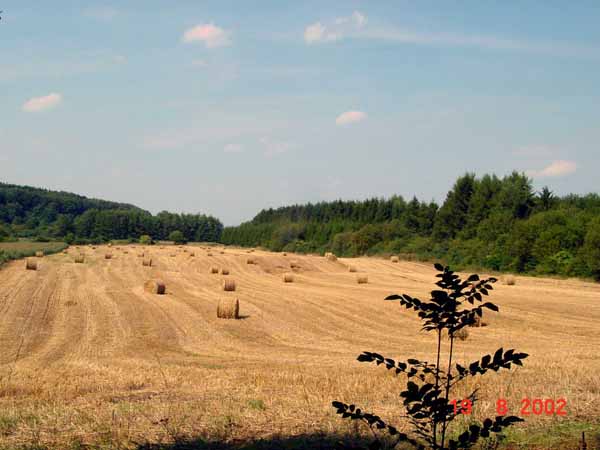 Auf der Gleicht 2002 08 003