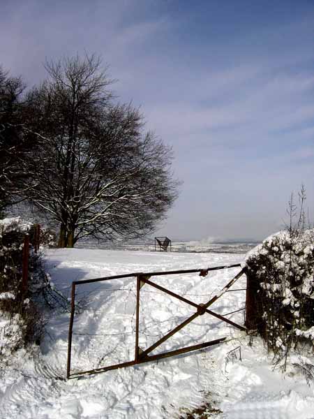 Auf der Hoehl 2004 009